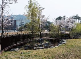 チョンゲサン(清渓山)生態水辺公園