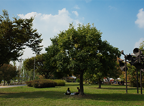 イチョン・ハンガン(二村・漢江)公園