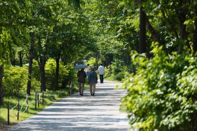 都心の憩いの場、京義線森の道