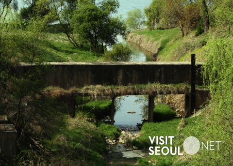 コドク(高徳)水辺生態公園