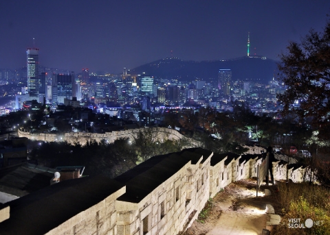 ナクサン(駱山)公園夜景