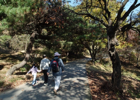 マンウサン(忘憂山)思索の道