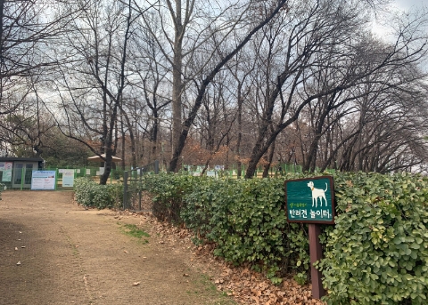 子供大公園の伴侶犬遊び場