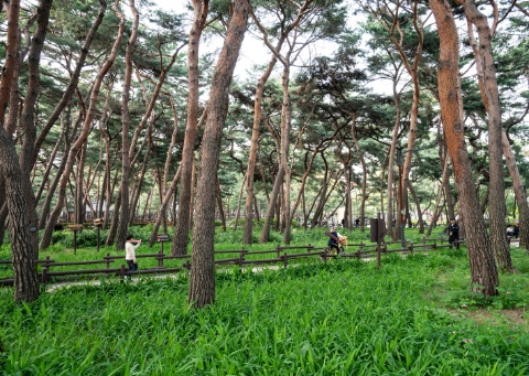 ソルバッ近隣公園