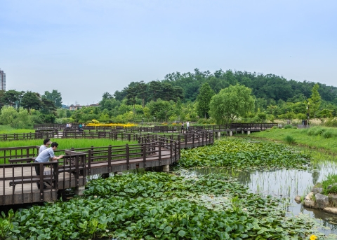 プルン樹木園