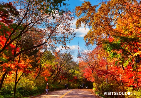 秋の紅葉道：ナムサン(南山)南側循環路