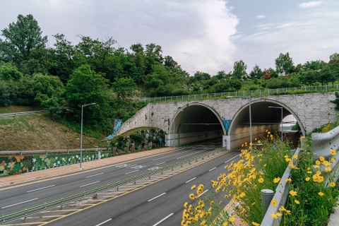 チヤンサン(芝陽山)