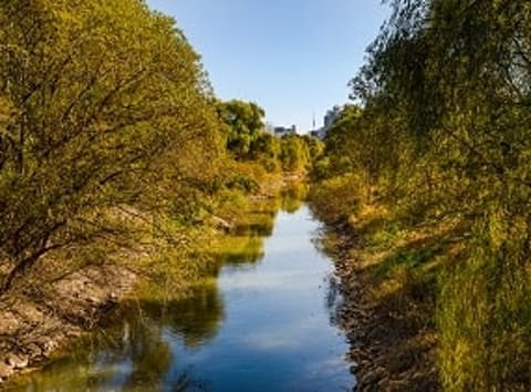 ヨイド(汝矣島)セッカン生態公園