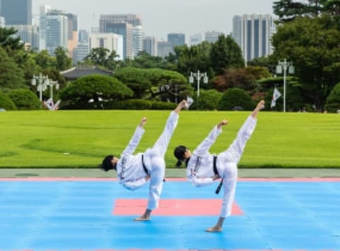 韓国から世界へのプレゼント、テコンドーを満喫するソウルの旅